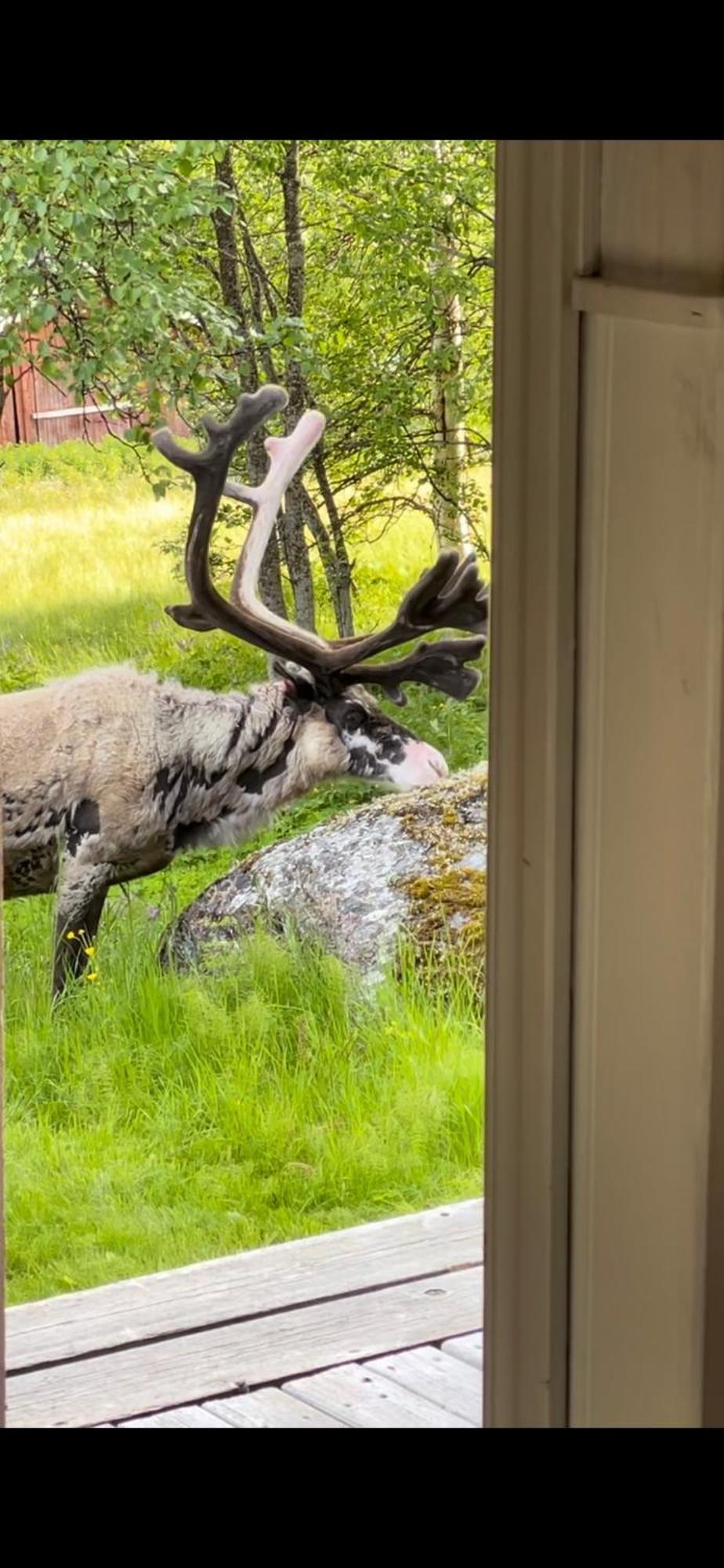 Taenndalens Stugby Villa Eksteriør bilde
